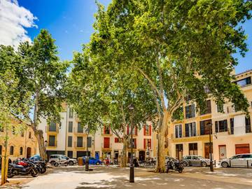 Apartment in Palma Altstadt, Palma für 4 