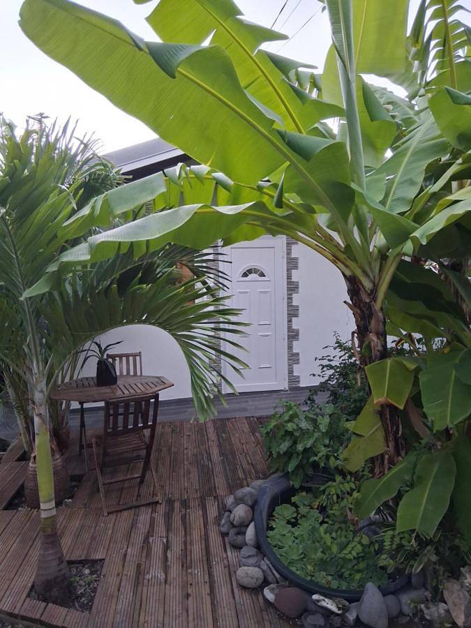 Location de vacances pour 2 personnes, avec terrasse dans Plage de Petite Anse - 2