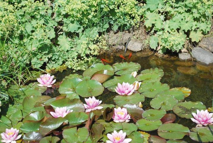 Location de vacances pour 2 personnes, avec jardin et terrasse à Mettlach - 4