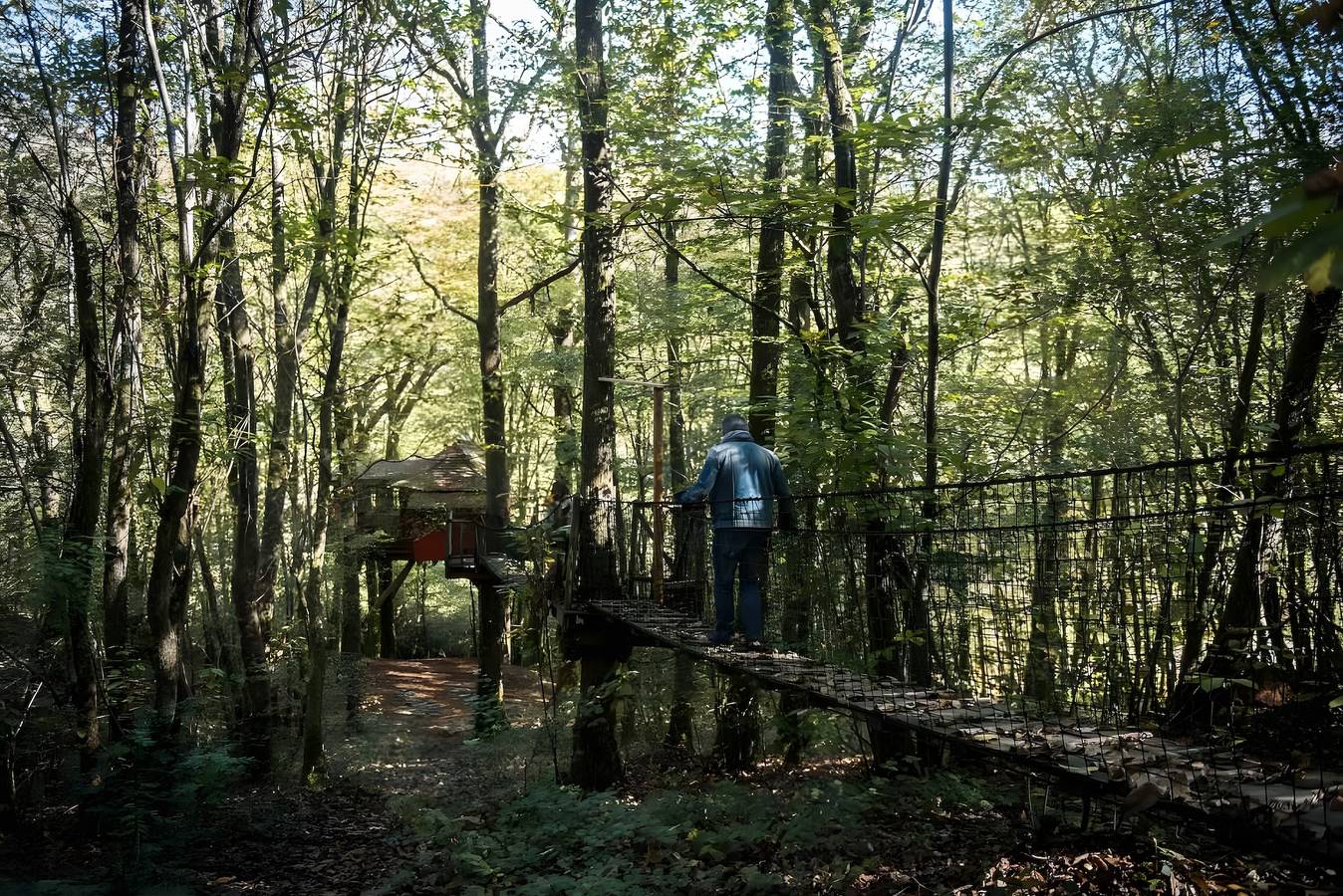La Cabane Zen – Escapade unique perchée à 8m dans la forêt, pont suspendu, terrasse et activités in Angoisse (Dordogne), Périgord Vert