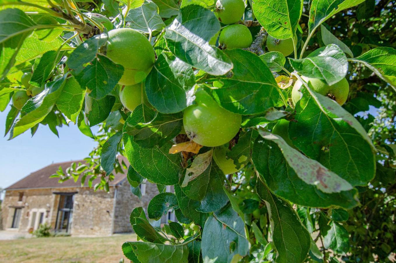 Les Ancêtres in Villiers-sous-Praslin
, Aube
