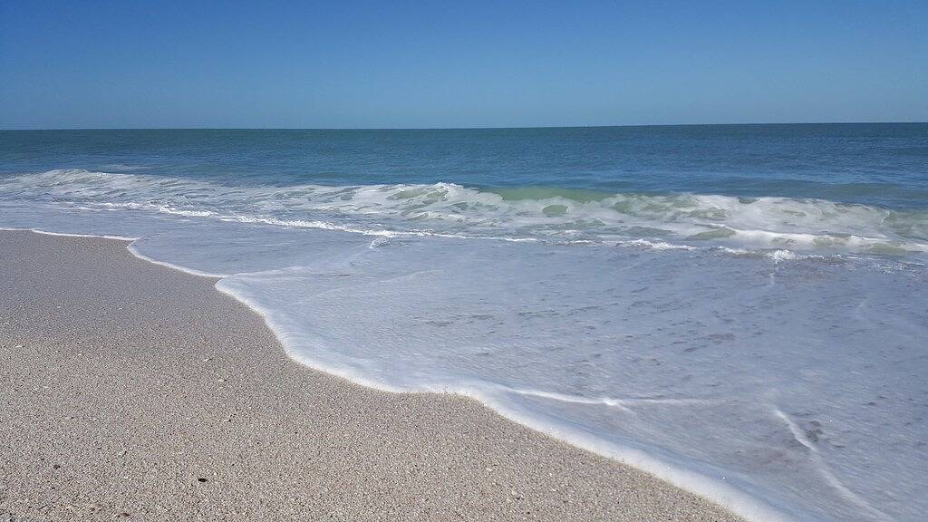 Bayfront One Bedroom - 1 in Nokomis Beach, Siesta Key