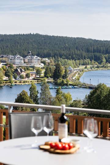 Ferienwohnung für 6 Personen in Suedlicher Schwarzwald, Schluchsee, Bild 2