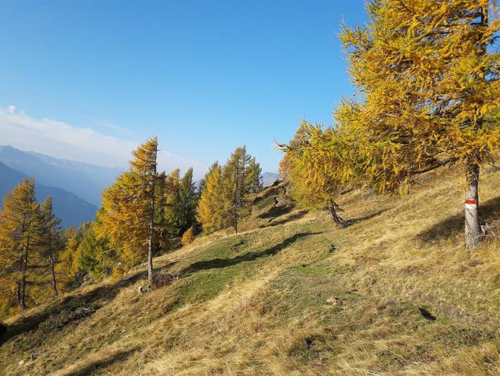 Almgasthof Himmelbauer - Ferienwohnung Goldeck in Hohe Tauern, Obervellach