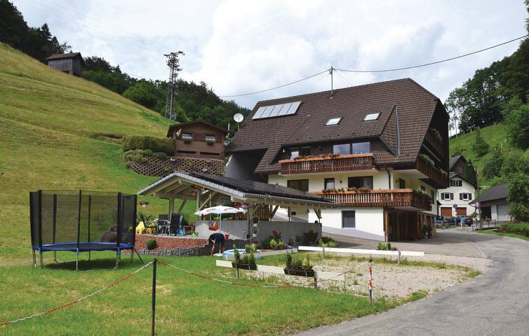 Ferienwohnung für 5 Personen, mit Terrasse und Garten sowie Sauna in Bad Peterstal-Griesbach - 2
