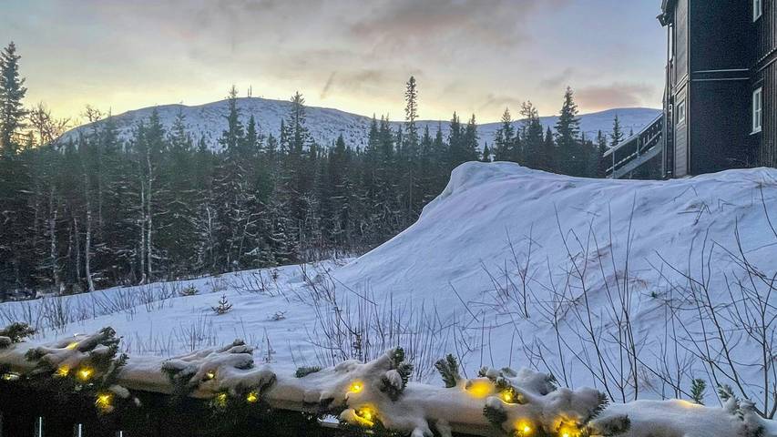 Ferienwohnung für 6 Personen, mit Sauna und Terrasse, kinderfreundlich in Trysil - 2