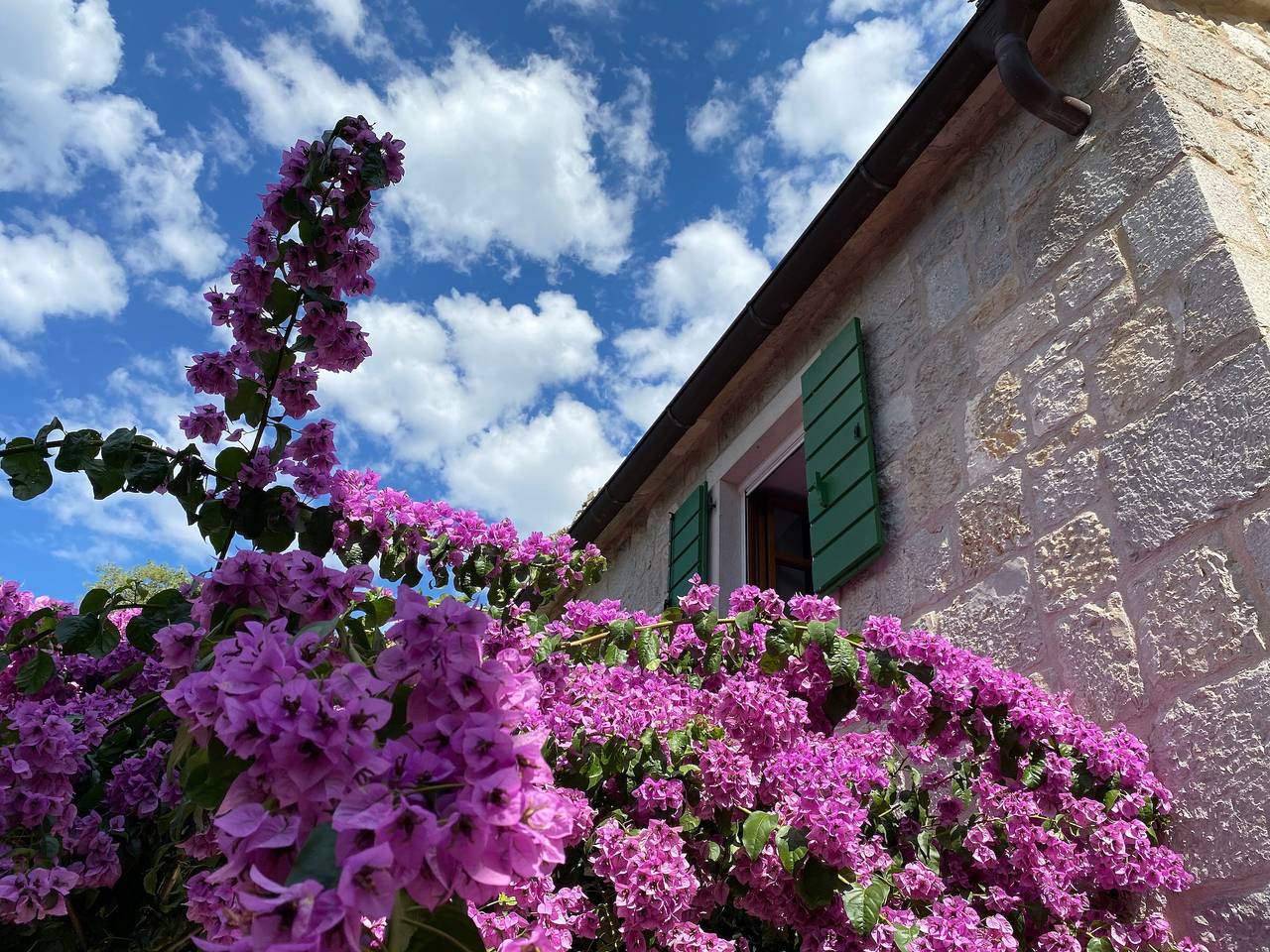Villa 'Zeleni Raj' pet-friendly con vista mare, Wi-Fi e aria condizionata in Almissa, Omiš-Riviera