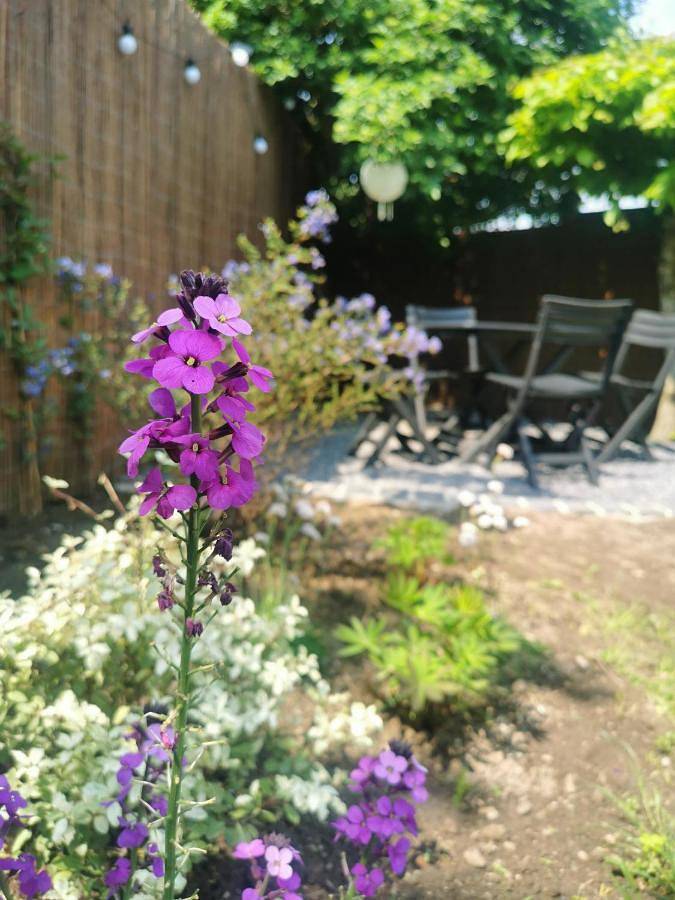 Gîte pour 4 personnes, avec jardin à Saint-Laurent-Blangy - 3