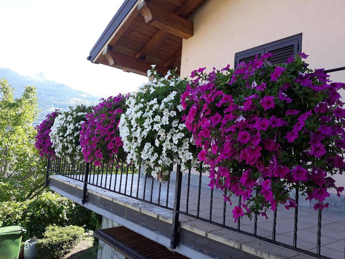 Villetta maison hélène Cir n 0391 in Aosta, Alpy Valais