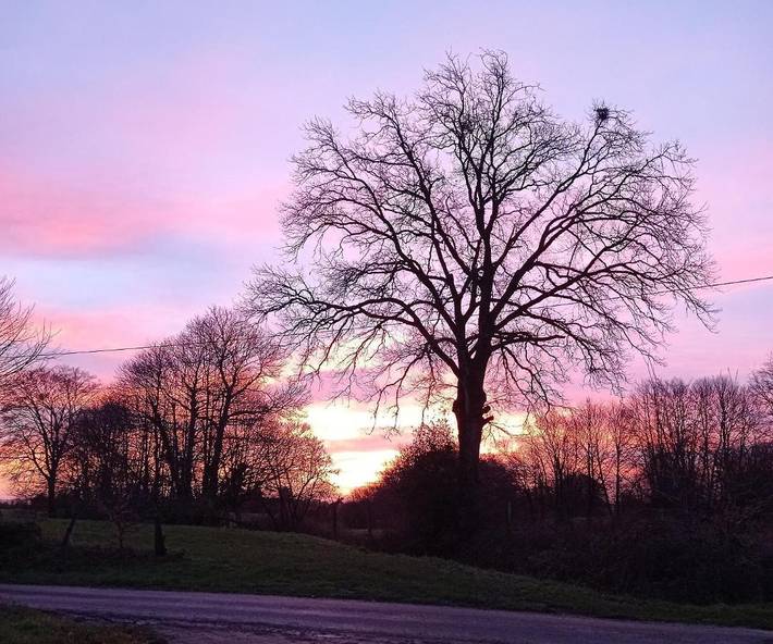 Gîte pour 2 personnes, avec terrasse ainsi que piscine et jacuzzi, animaux acceptés à Mantilly - 2