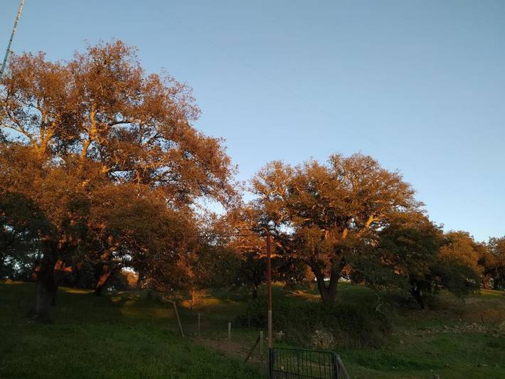 Casa rural para 8 personas, con vistas además de piscina y jardín en Cortegana - 3