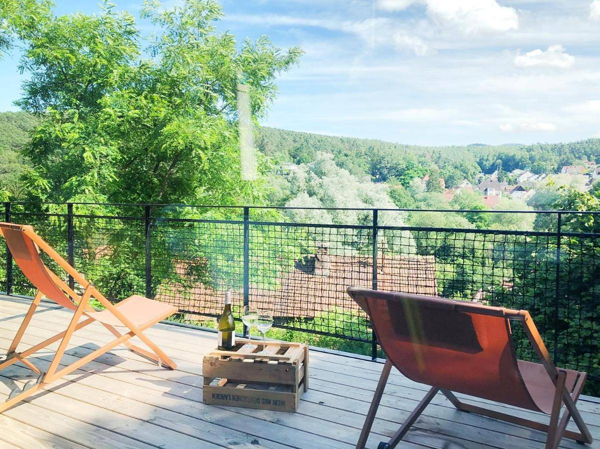 Ganze Wohnung, Burgstrasse Apartment Ost mit Garten und Sauna in Altleiningen, Saar-Nahe-Bergland