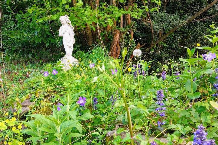 Location de vacances pour 6 personnes, animaux acceptés à Saint-Laurent-le-Minier