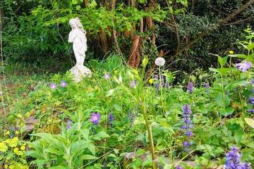 Gîte pour 6 personnes, animaux acceptés à Saint-Laurent-le-Minier