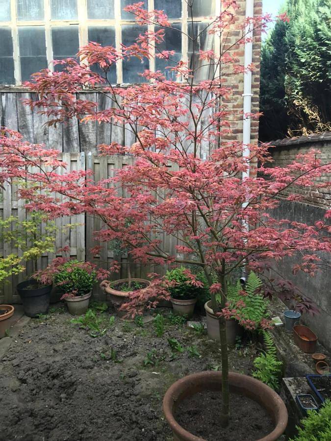 Gîte pour 4 personnes, avec balcon dans Louvain-la-Neuve - 3