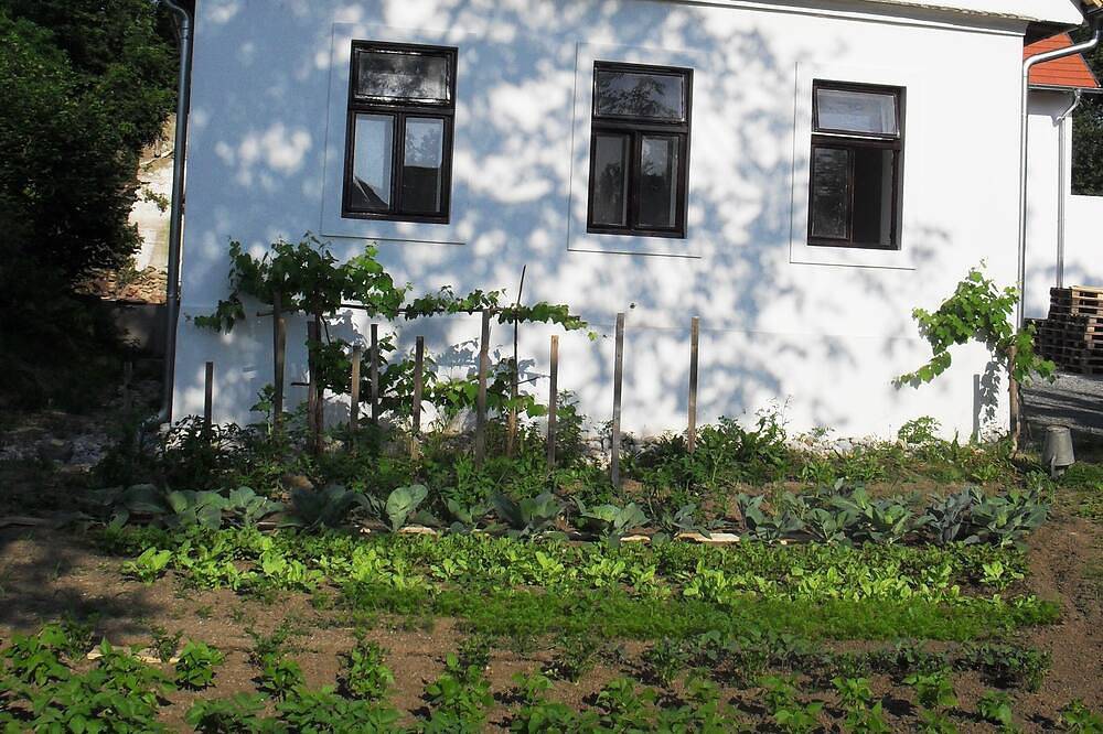Old mill with quiet location and pond consisting of 2 separate residential units in Bezirk Oberpullendorf