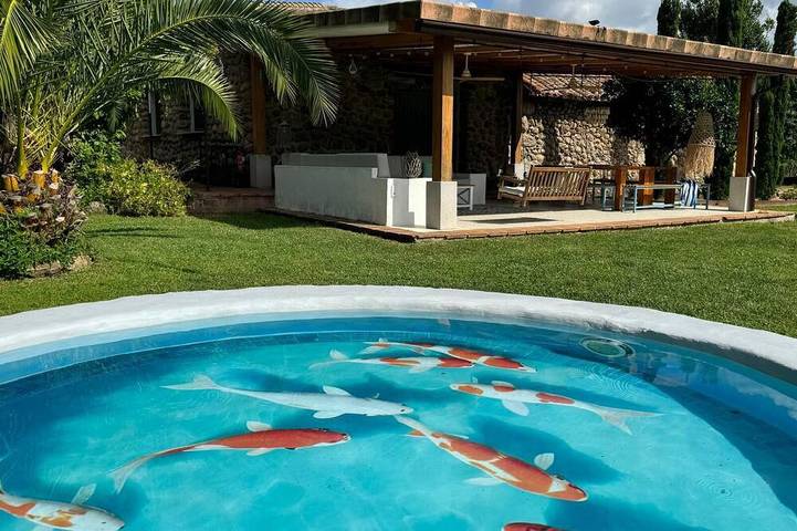Finca Aprisco de Candeleda, a dream to share. in Candeleda, Valle del Tiétar