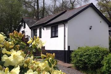 Cottage for 2 People in Huntsham, Devon, Photo 4