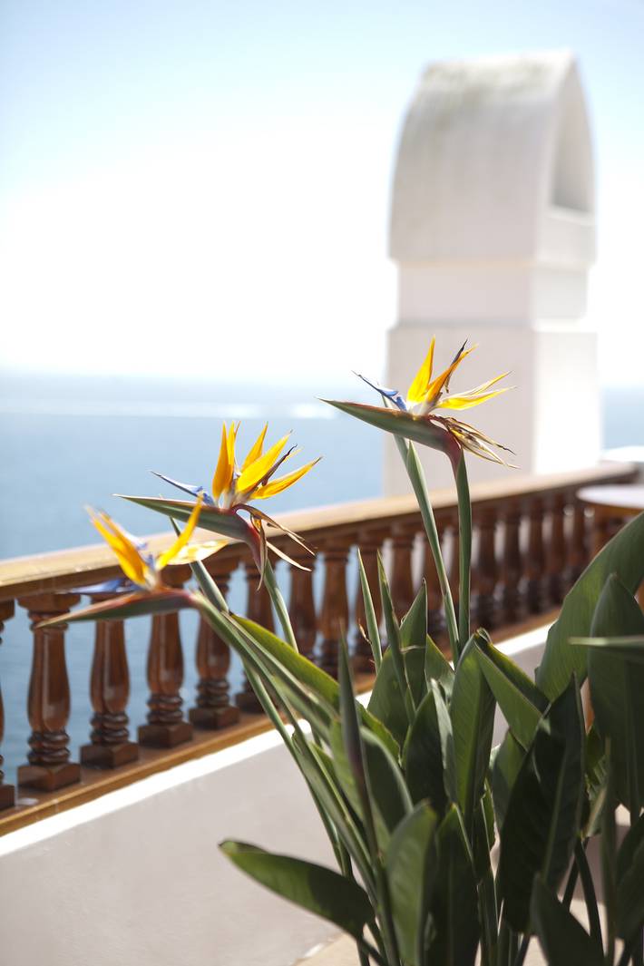 Location de vacances pour 4 personnes, avec jacuzzi et balcon dans Californie - 4