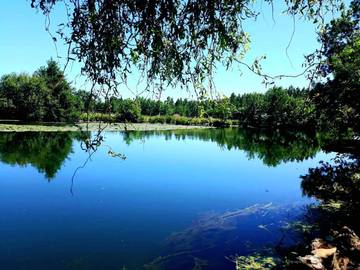 Location de vacances pour 6 personnes, avec jardin ainsi que sauna et vue, animaux acceptés dans Les Roches-l'Évêque