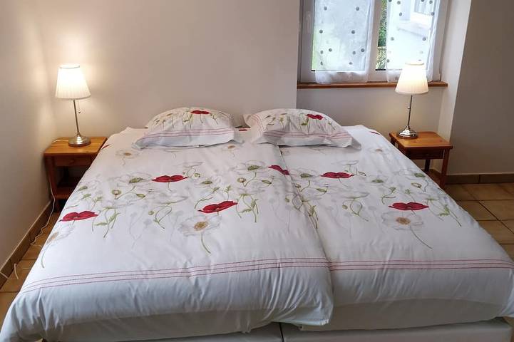 Ferienwohnung für 4 Personen, mit Whirlpool und Terrasse in Straßburg - 3