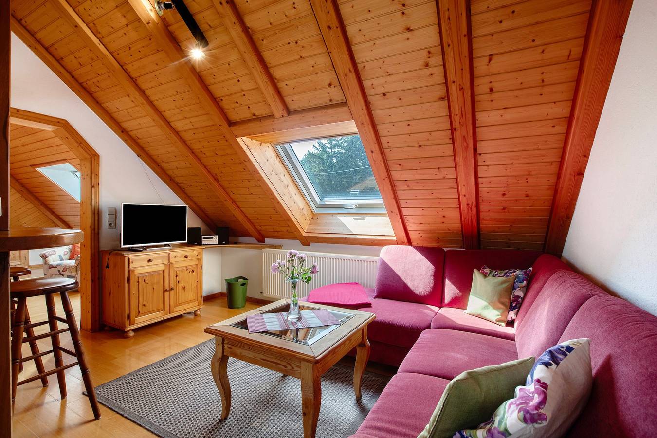 Ganze Wohnung, Ferienwohnung 'Schlafen Unterm Sternenzelt' in Dachsberg, Südschwarzwald