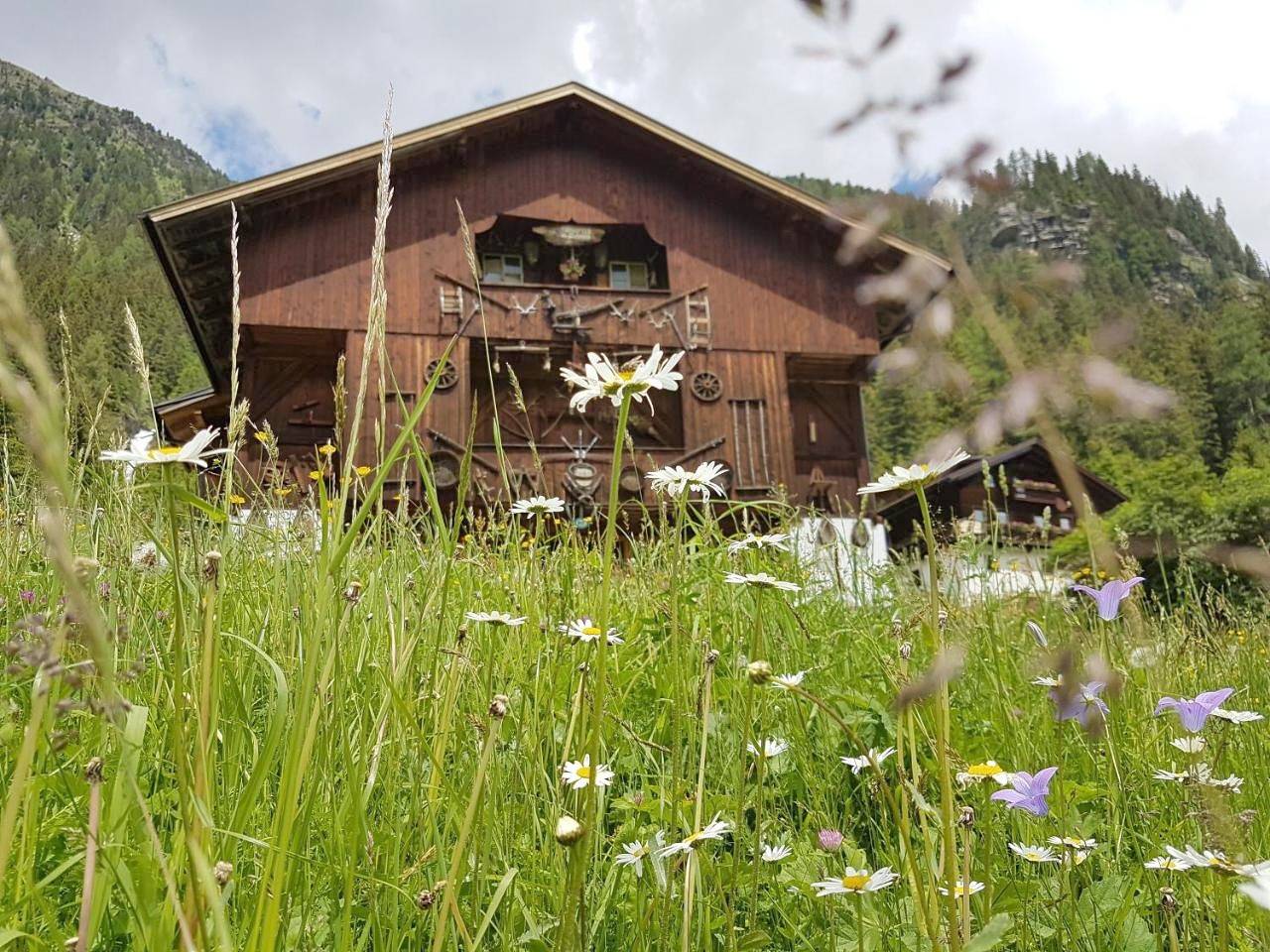 Pension Fürhapter mit Bio- Bauernhof in Sankt Jakob in Defereggen, Bezirk Lienz