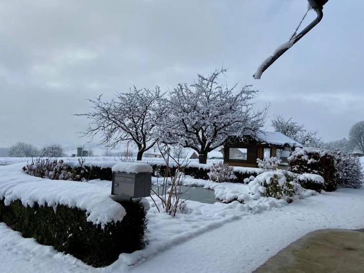 Ferienhaus für 6 Personen, mit Garten und Balkon in Kanton Freiburg - 4