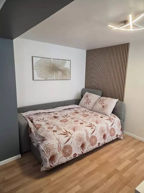 Apartamento entero, Apartamentos para 4 personas in Terville, Mosela (departamento)