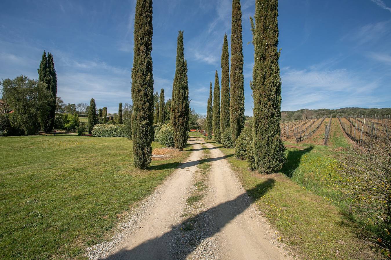 Finca Lucente con vista montagne, piscina, giardino e Wi-Fi in Roccastrada, Provincia di Grosseto