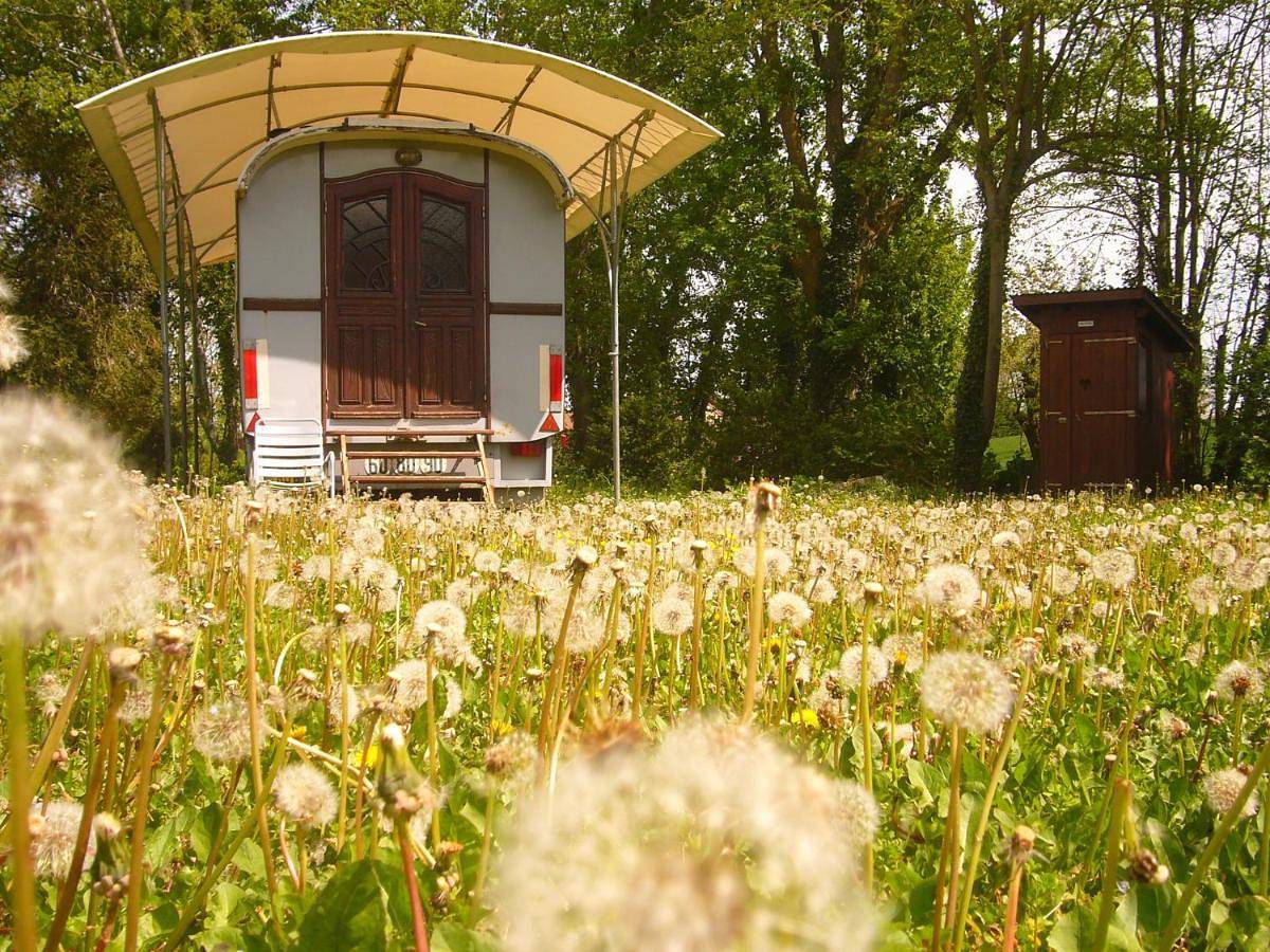Family Room with Sauna in Guillon, Arrondissement d'Avallon