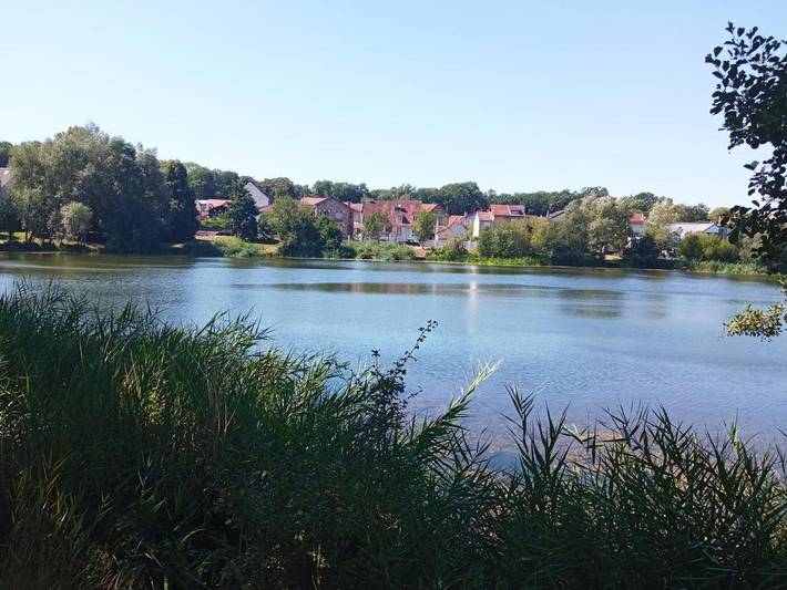 Maison d’hôte pour 2 personnes, avec jardin, animaux acceptés dans Yvelines - 3