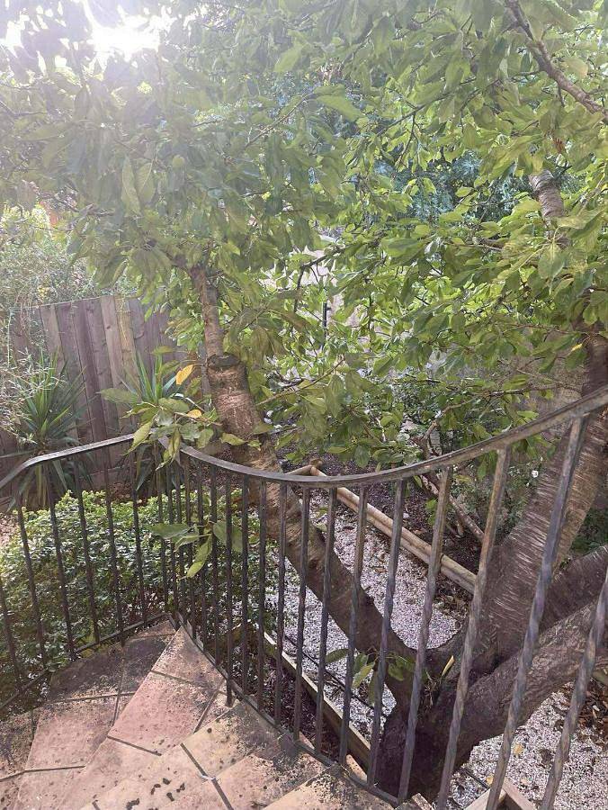 Chambre d’hôte pour 4 personnes, avec jardin ainsi que vue et terrasse à Millas - 2