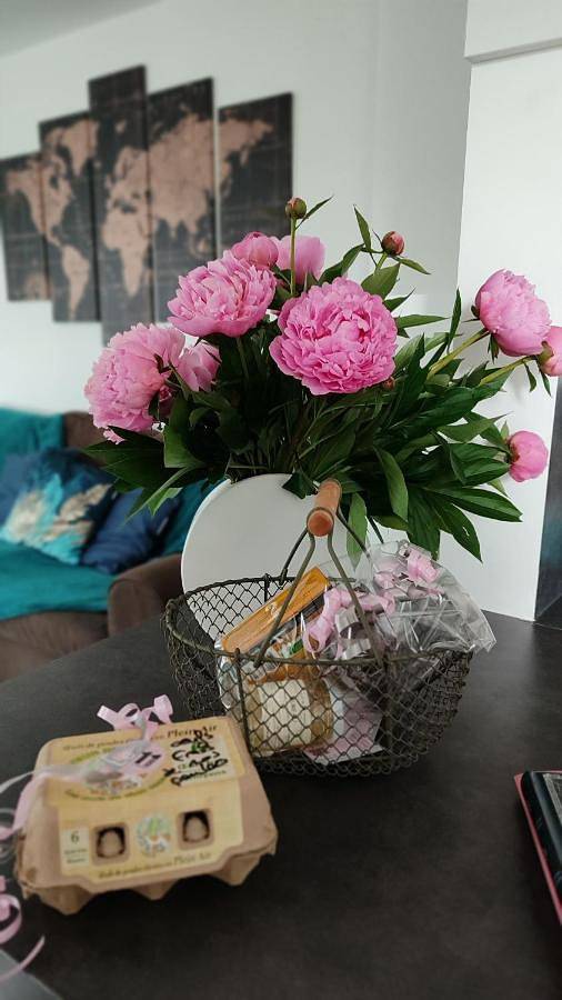 Gîte pour 4 personnes, avec jardin à Saint-Amé - 4