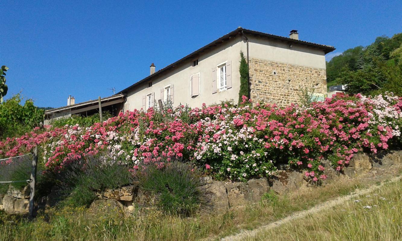 Gîte für 12 Personen mit Garten in Quincié-en-Beaujolais, Villefranche-sur-Saône und Umgebung