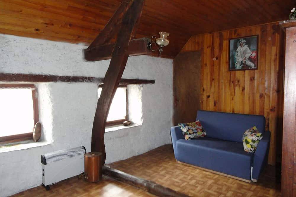House in small mountain village by the river in Vèbre, French Pyrenees