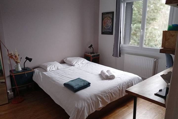 Large, cosy house near the town center in Nantes, Nantes region