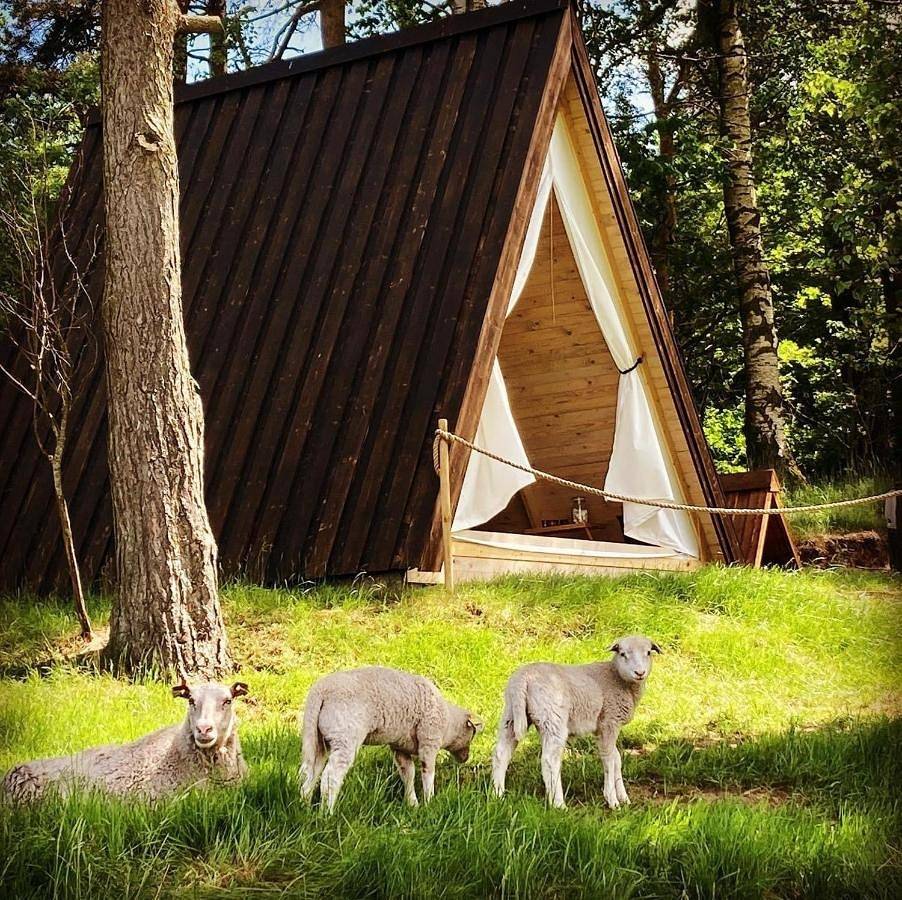 Sandfallet Glamping in Laholm, Halland