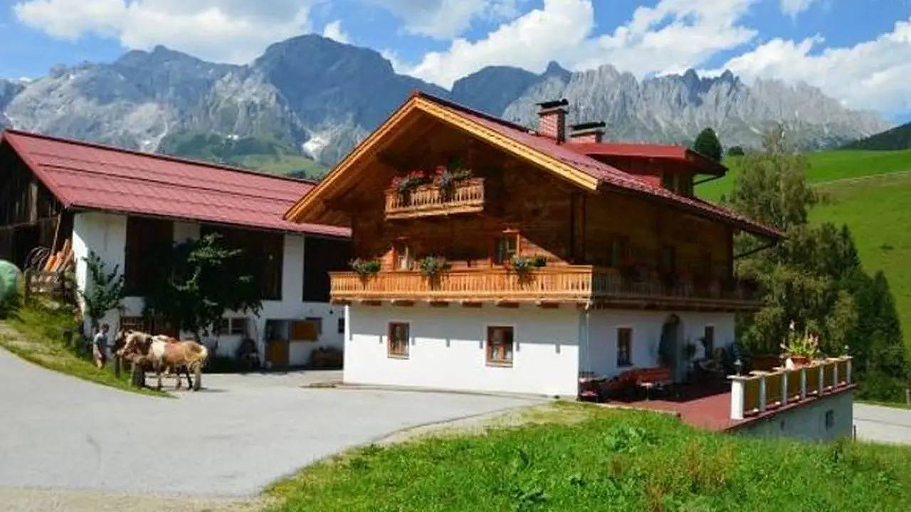 Ganze Ferienwohnung, Ferienwohnung für 4 Personen (60 m²) in Mühlbach am Hochkönig in Mühlbach am Hochkönig, Ski Amadé
