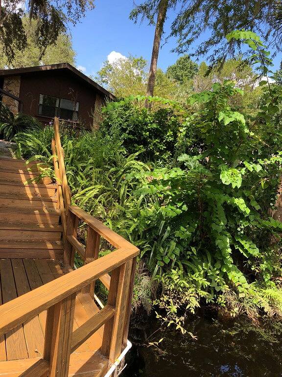 Mehrstöckiges Deck / Dock mit Blick auf den malerischen Withlacoochee River in Inglis, Levy County