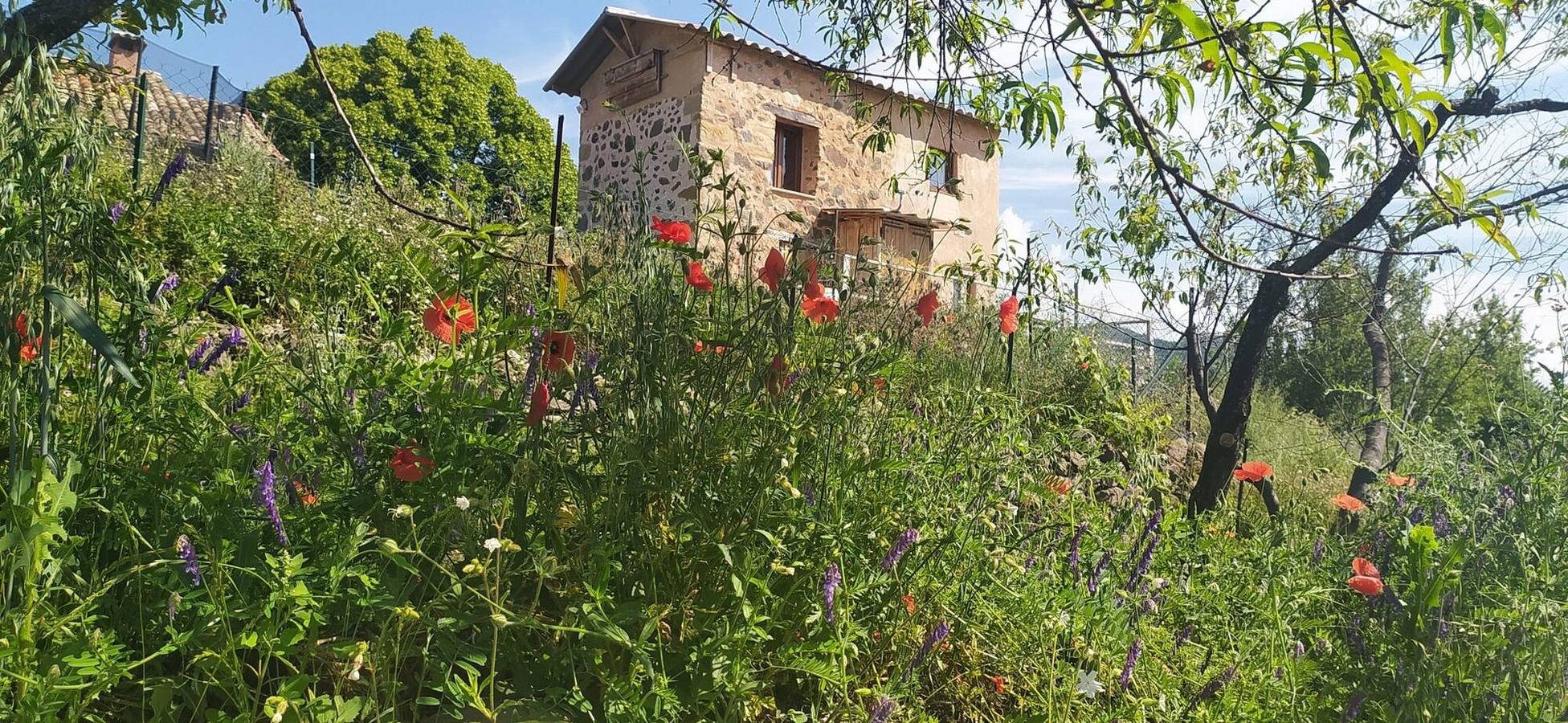 Entire apartment, Holiday Home 'Gîte Studio Saint Ribert' with Mountain View, Wi-Fi and Air Conditioning in Castellane region