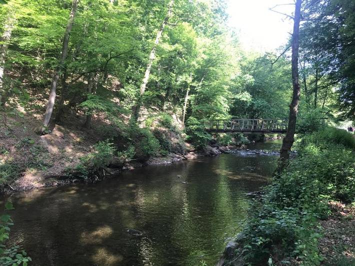 Chambre d’hôte pour 2 personnes, avec jardin dans Bomal - 3