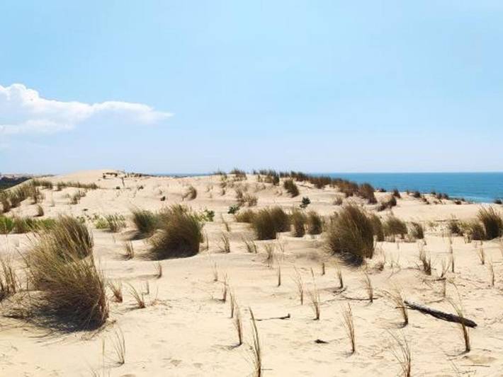 Location de vacances pour 7 personnes, avec terrasse, animaux acceptés dans Plage de la Palmyre - 3