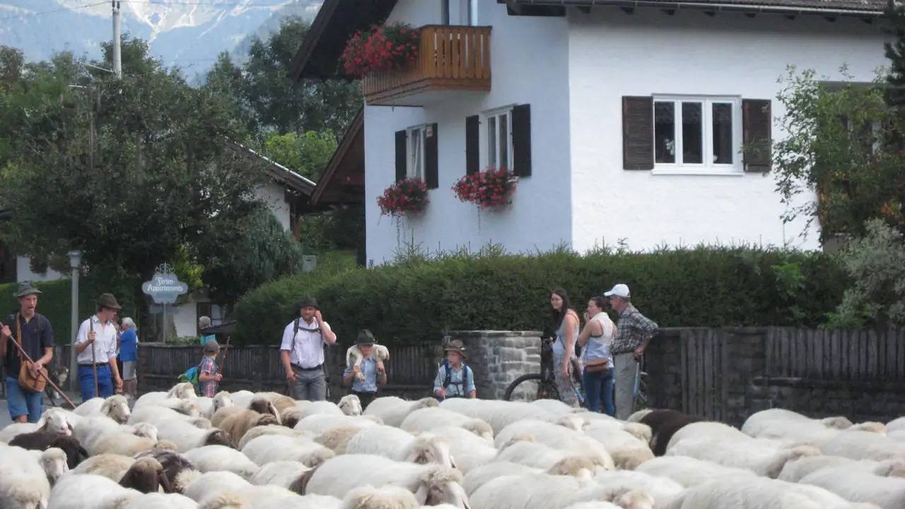 Ganze Ferienwohnung, Ferienwohnung für 4 Personen (61 m²) in Mittenwald in Mittenwald, Bayerische Alpen