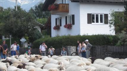 Ferienwohnung für 4 Personen in Mittenwald, Bayerische Alpen, Bild 4