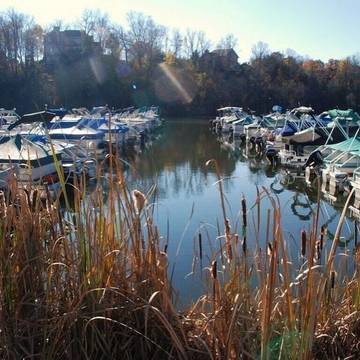 Vacation House for 10 Guests in Illinois, USA, Picture 4