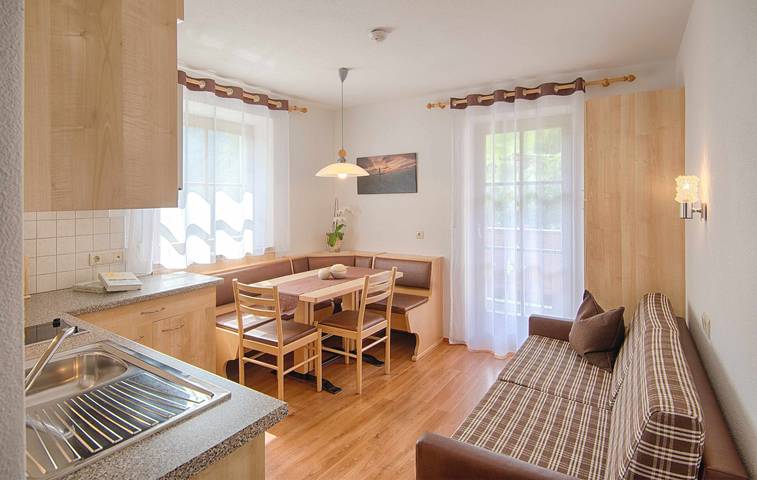 Ganze Wohnung, Apartment "Löfflerblick A Schwarzenstein" mit Bergblick, WLAN, Sauna und Whirlpool in Hohe Tauern, Ahrntal