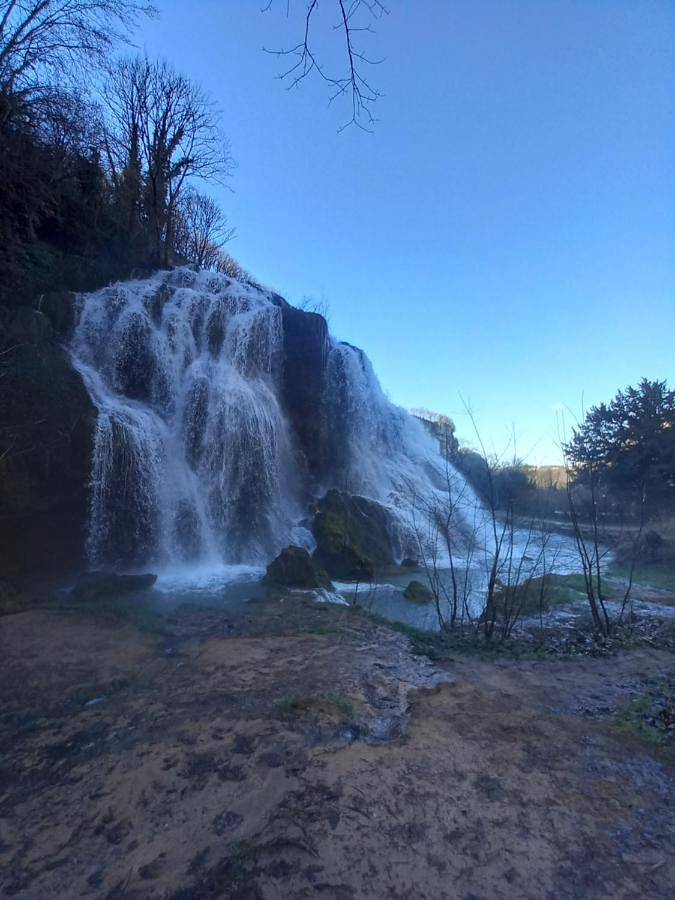 Bord de Seille in Ruffey-sur-Seille, Jura