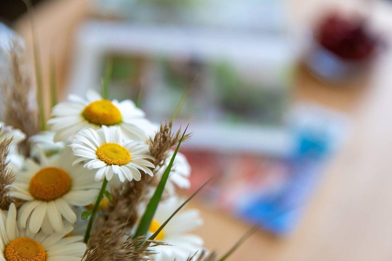 Ganze Ferienwohnung, Hus Pellworm 2 - Ferienwohnung "Meereswelle" in Pellworm, Nordseeküste