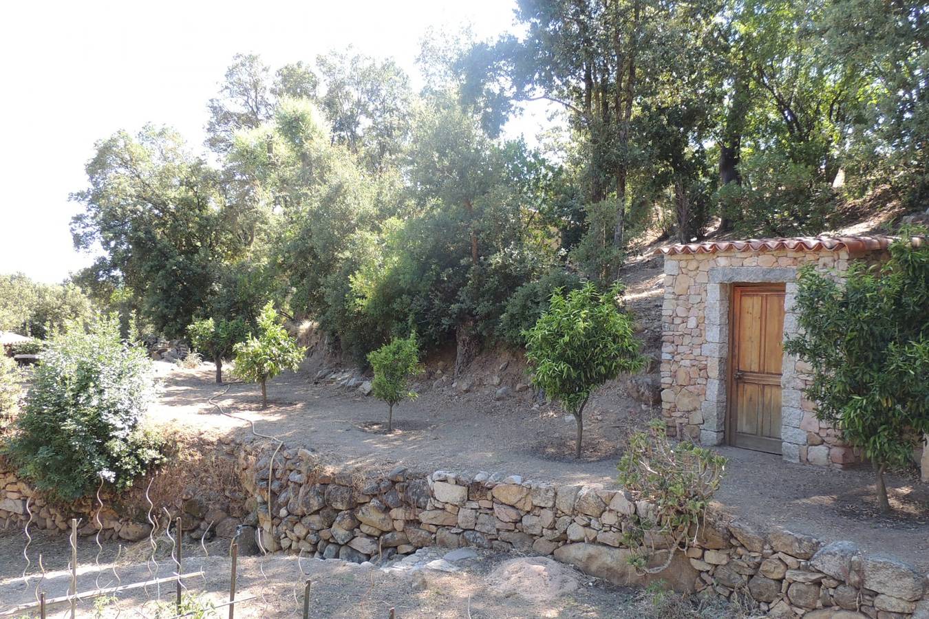 L'Ortu Di Pisettu -2 in Conca, Sartène und Umgebung